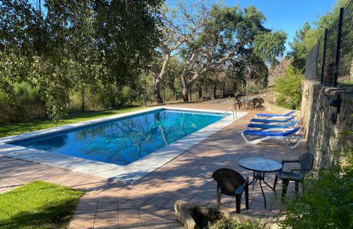 Virgen de la Cabeza - Foto 9