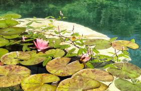 AGRITURISMO TERRAPIA - Foto 56