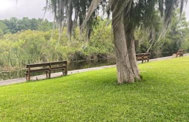 Professor Rousseau's Manatee Bay - Foto 31