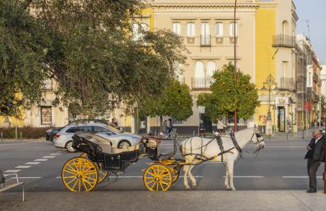 Cubo's Quinta de los Cisnes & minigolf included - Foto 57