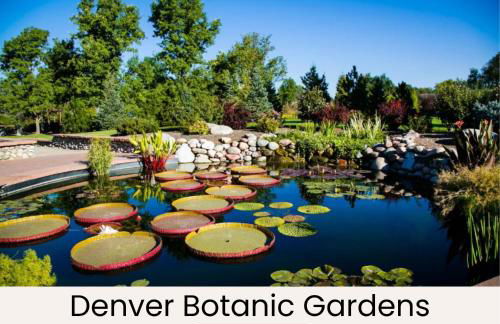 Heart of Downtown City Views Deck BBQ - Foto 49