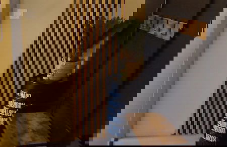 Les Souvenirs d'Alsace - Photo 14