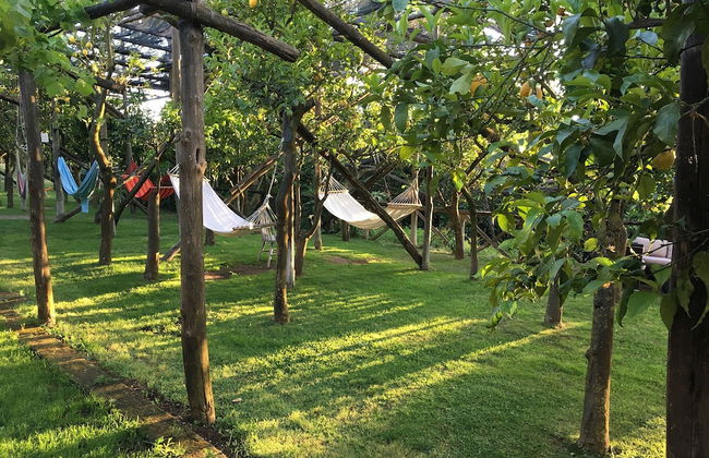 Podere don Peppe 1884 - Photo 26