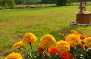 Dolina Sosny - Foto 17