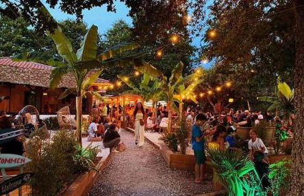 Belle Villa d'architecte entre lac et océan - Foto 25