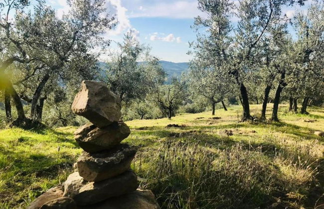 A Vineyard Apartment Retreat - Foto 42