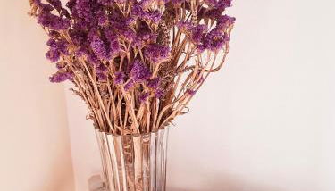 Chez Dodo Ospedaletti - Photo 5