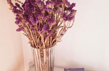 Chez Dodo Ospedaletti - Photo 5