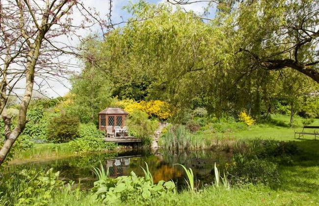 Glyndwr Vineyard - Foto 36