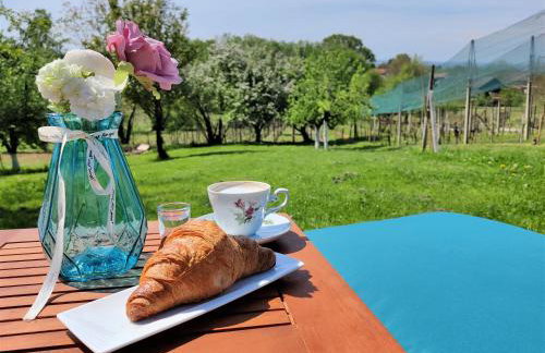 Kuća za odmor Villa Cesarica - Zagreb - Foto 24