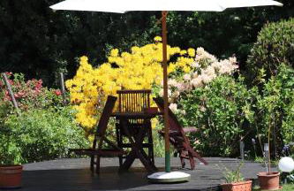 Ferienwohnung Im Waldwinkel - Foto 2