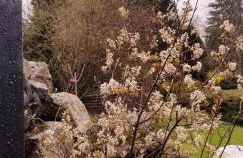 La terrasse des volcans - Foto 36