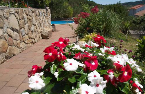 Apartments Dumicic - Foto 13