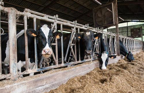 Zubeltzu Torre - Photo 35