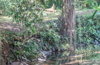 Casa Petar Betari - Foto 73