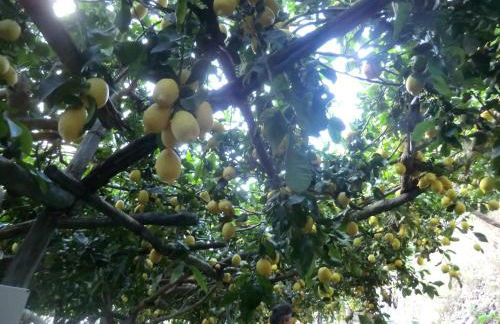 Agriturismo Mare e Monti - Foto 102