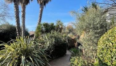 Villa Impressionniste - au coeur de Montpellier, villa 290 m2, jardin tropical, piscine, cuisine extérieure - Foto 4