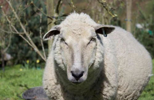 NEW BARN CONVERSION WITH PRIVATE HOT TUB - Foto 11