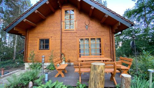 Waldhaus Eichhörnchen - Foto 5