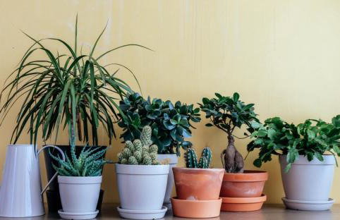 Gamma empreendimentos - Foto 2