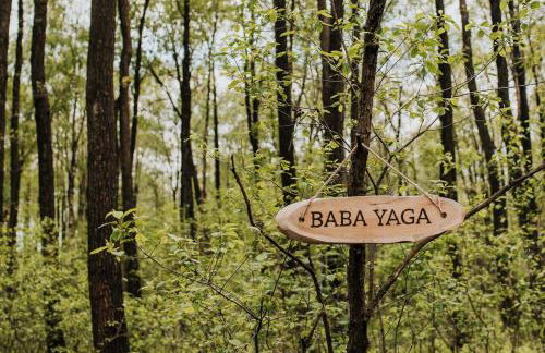 Dziki Las - domki na drzewach - Foto 16