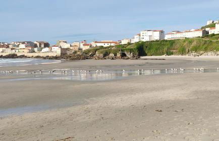 Ribadomar Caion - Foto 67