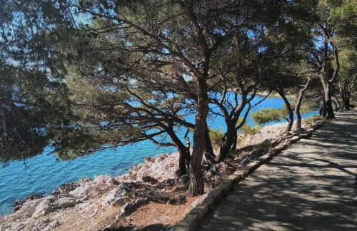 Apartments Valentina Tisno - Photo 59