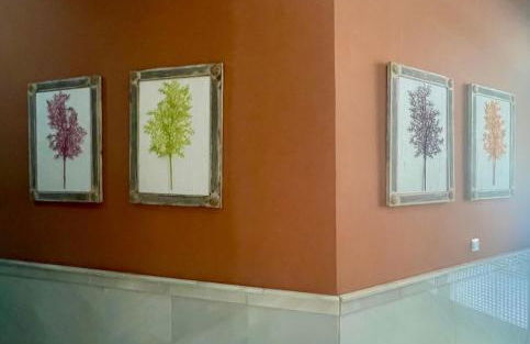 Apartamento Virgen de la Victoria - Foto 13