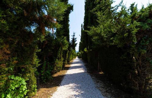 Haus Eleonas - Foto 33