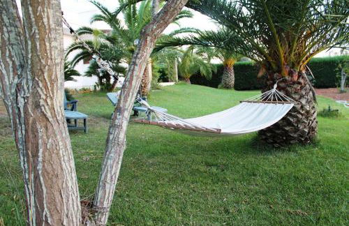 Vecchio Ulivo - Foto 23