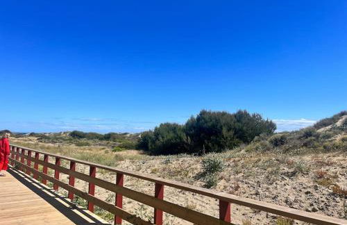 First Line Beach Beautiful and Bright Home - Photo 8