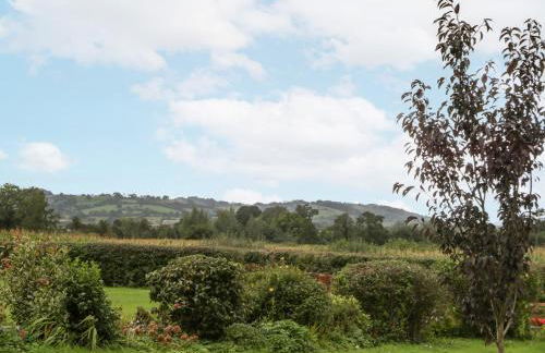 The Pheasant One - Foto 24