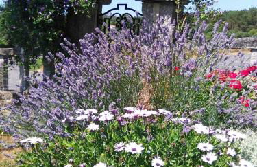 Casa Bartulo - Foto 46