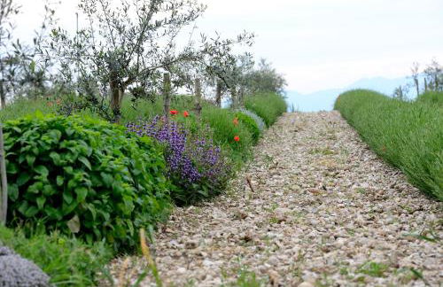 agriturismo2laghi - Foto 7