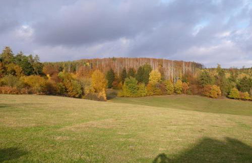 Die Wohlfühloase - Foto 15