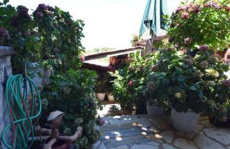 Irini's studios - Photo 48