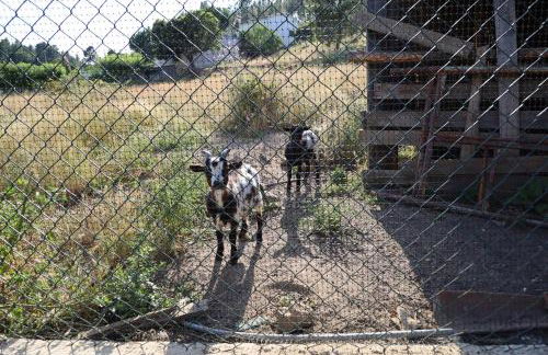 Apartamentos Rurais - Casas do Lagar - Foto 6