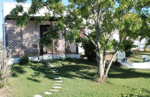 Vecchio Ulivo - Foto 27