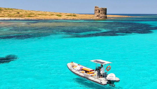 Asinara National Park Speedboat Trip - Foto 2
