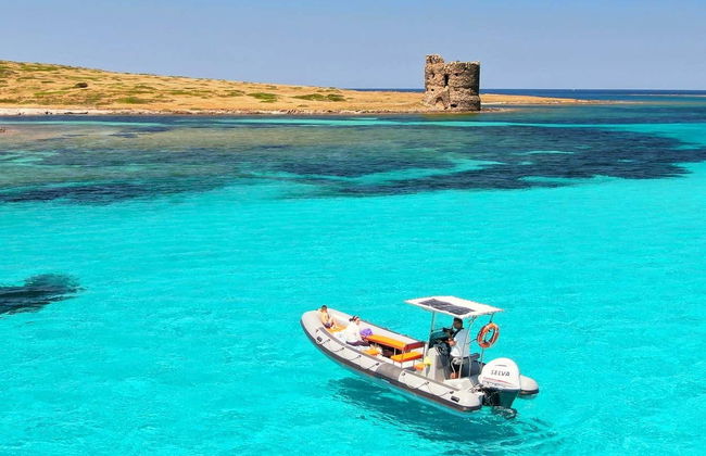 Excursão a Asinara de lancha - Foto 2