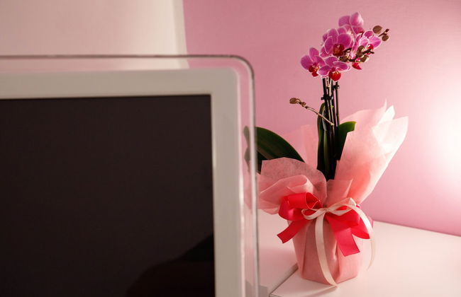 AFFITTACAMERE VILLA SANTA LUCIA - Photo 4