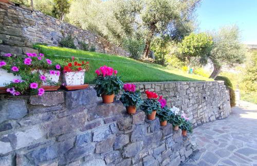 Almarea, a house between the sea and olive trees - Foto 46