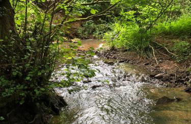 Ferienwohnung am Pferdemarkt - Foto 72