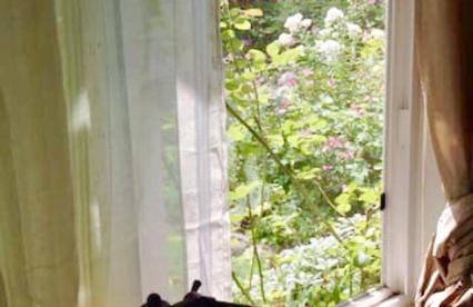 Charming Garden Cottage - Photo 5