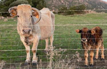 Superbe appartement neuf de haut standing - Foto 32