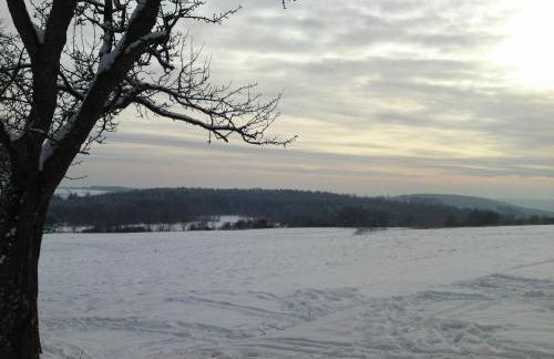 Ferienwohnung Irmgard und Ferienwohnung Gerlinde - Foto 38