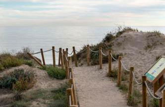 First Line Beach Beautiful and Bright Home - Photo 15