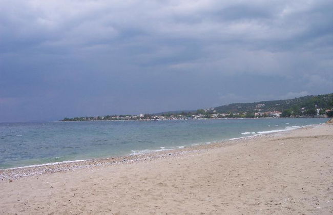 Irene Studios - Foto 35