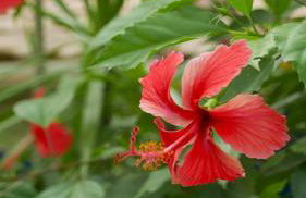 Estalagem Santo André - Foto 29