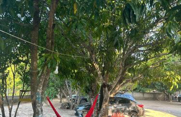 Sítio zona rural de Teresina - Foto 68